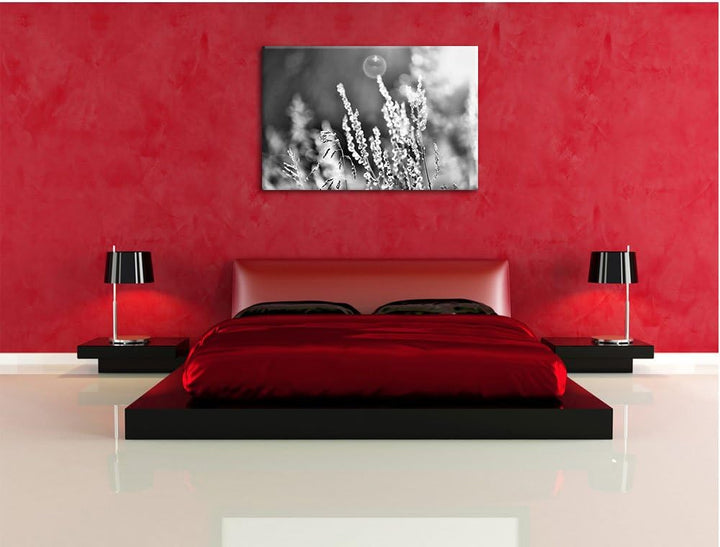 Pixxprint Gräser im Sonnenuntergang / 100x70cm Leinwandbild bespannt auf Holzrahmen/Wandbild Kunstdr