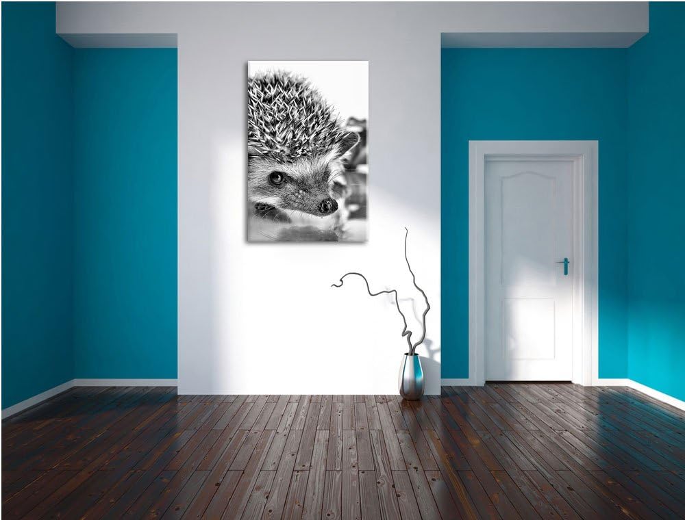 Monocrome, Süsser Igel , Format: 100x70 auf Leinwand, XXL riesige Bilder fertig gerahmt mit Keilrahm