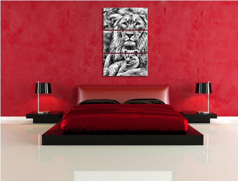Pixxprint Löwe kuschelt mit Jungtier als Leinwandbild/Grösse: 3 Teilig (120x80) cm/Wandbild/Kunstdru