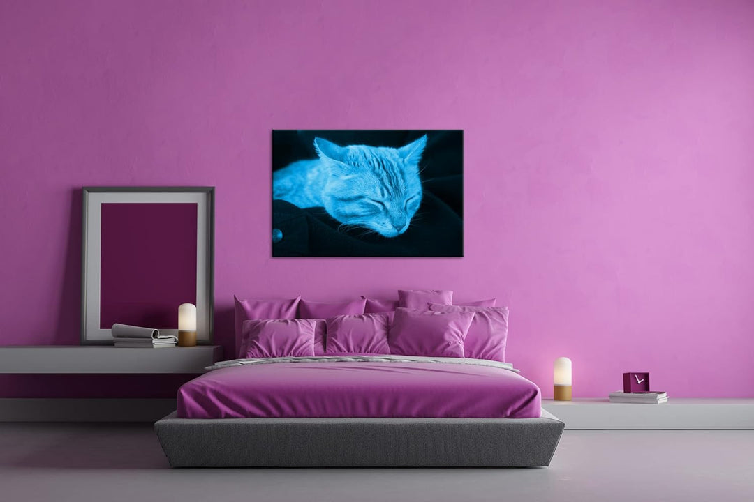 deyoli goldig schlafende Katze Format 80x60 Effekt: Monocrome Blau als Leinwandbild, Motiv fertig ge
