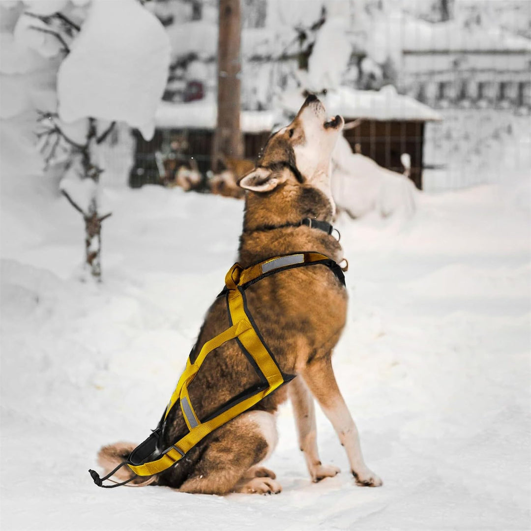 Mushing-Geschirr für Hundeschlittenübungen Bikejöring Skijöring Canicross Scootering – Robustes Haus