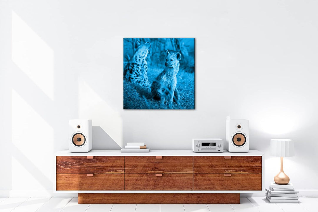 deyoli Hyänen in Afrika Format: 60x60 Effekt: Monocrome Blau als Leinwandbild, Motiv fertig gerahmt