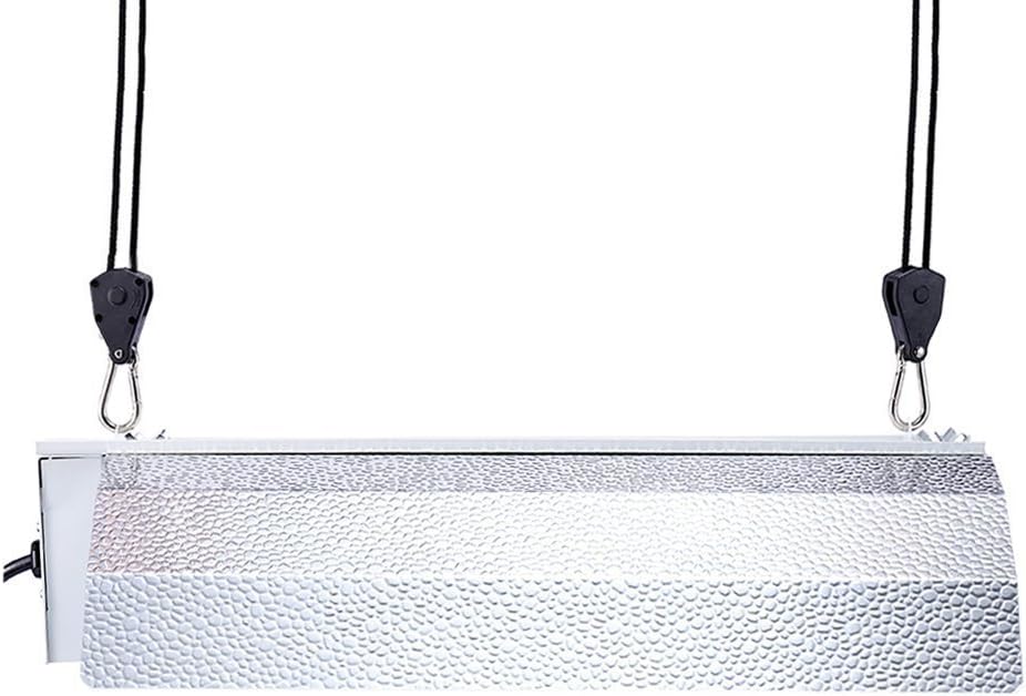 iPower 1/8" 6-Paar Seil Ratsche mit Haken, Seil Ratsche Kleiderbügel Aufhänger für Hängende Zelt Wac