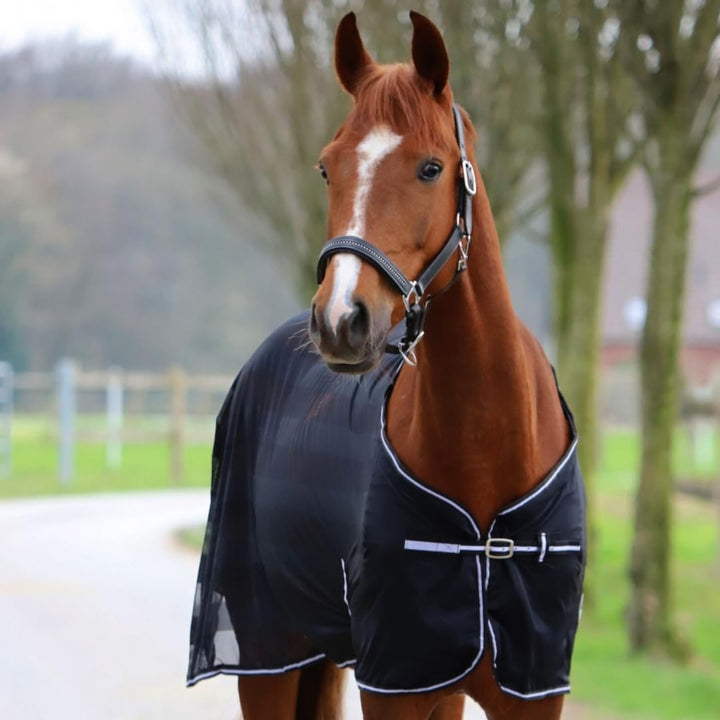 Marengos - Fliegendecke mit Kreuzgurt Economic | Schutz vor Insekten & Plagegeistern | Ekzemerdecke