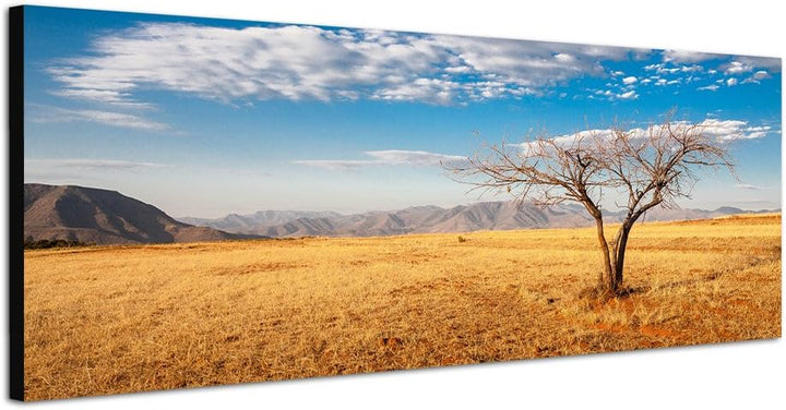 Paul Sinus Art Panoramabild auf Leinwand und Keilrahmen 120x40cm Afrika Steppe Berge Baum Himmel Wol