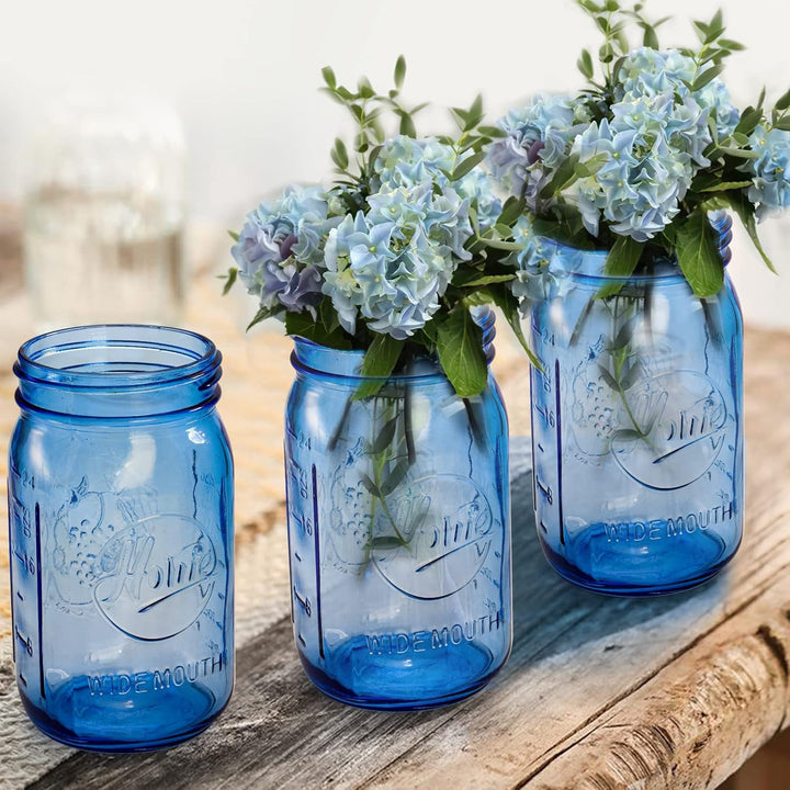 Tebery 6 Stück Vintage Blue Home Einmachgläser mit luftdichten Deckeln und Bändern, 900 ml breite Öf