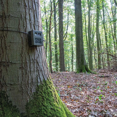 SECACAM Metallgehäuse Pro Plus grün-texturiert - Wildkamera Gehäuse Schutzgehäuse Tierkamera