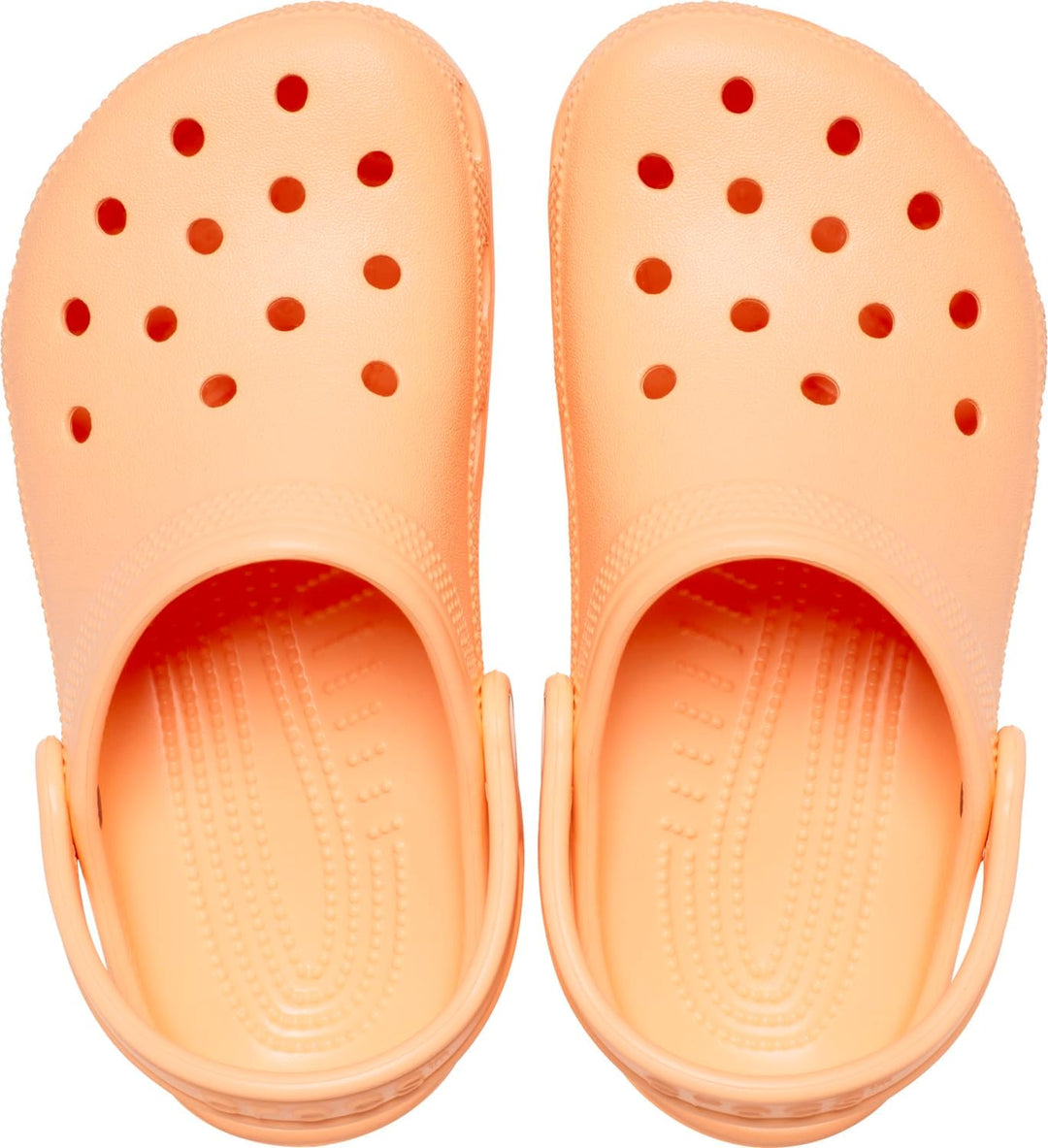 Crocs Unisex Kinder Classic Clog KHolzschuh 29/30 EU Electric Sunstone, 29/30 EU Electric Sunstone