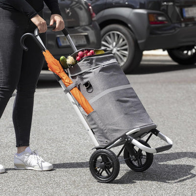 Meister Einkaufstrolley - 45 Liter - Premium Luftreifen - Mit Kühltasche & Teleskop-Griff - Regenfes