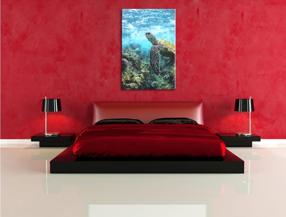 Pixxprint Schildkröte im Pazifik als Leinwandbild/Grösse: 100x70 / Wandbild/Kunstdruck/fertig bespan