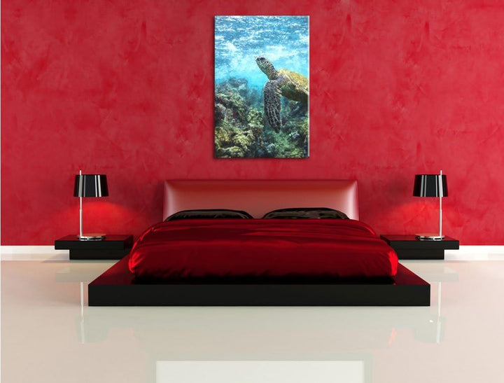 Pixxprint Schildkröte im Pazifik als Leinwandbild/Grösse: 100x70 / Wandbild/Kunstdruck/fertig bespan
