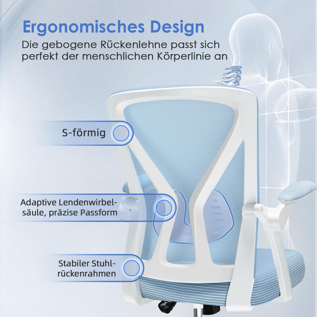 Hinonde Bürostuhl, Ergonomischer Schreibtischstuhl mit Lendenwirbelstütze, Bürostuhl Ergonomisch Tes