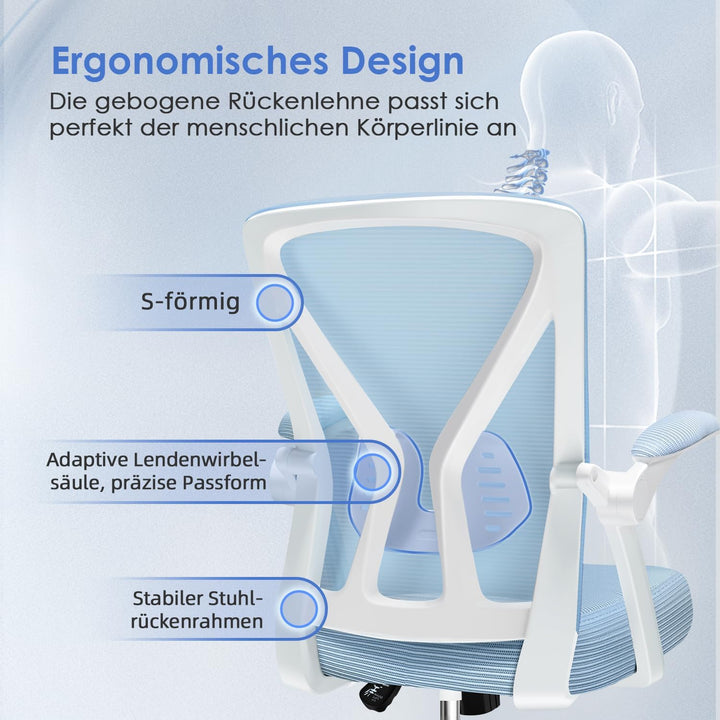 Hinonde Bürostuhl, Ergonomischer Schreibtischstuhl mit Lendenwirbelstütze, Bürostuhl Ergonomisch Tes