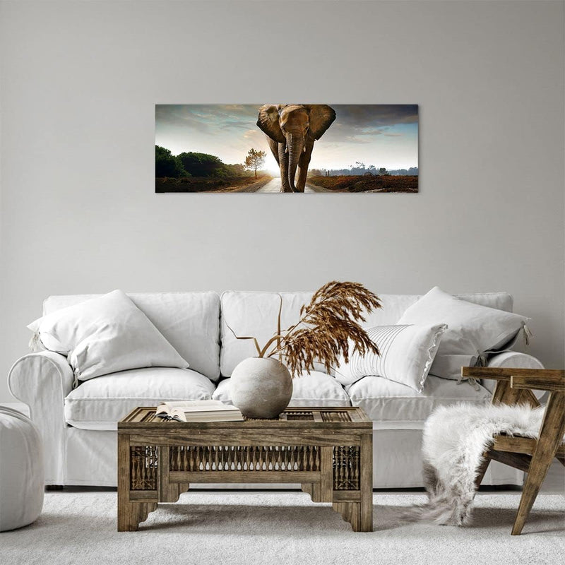 Panorama Bilder auf Leinwand Elefant Strasse Landschaft Leinwandbild 90x30cm Wandbilder Dekoration W