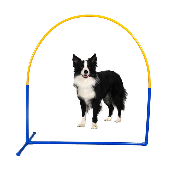 Callieway 6X NADAC Hoopers Agility Hoops - Grosspackung Fun Hoops - Blau - 6er Pack (Mit Mittelstreb