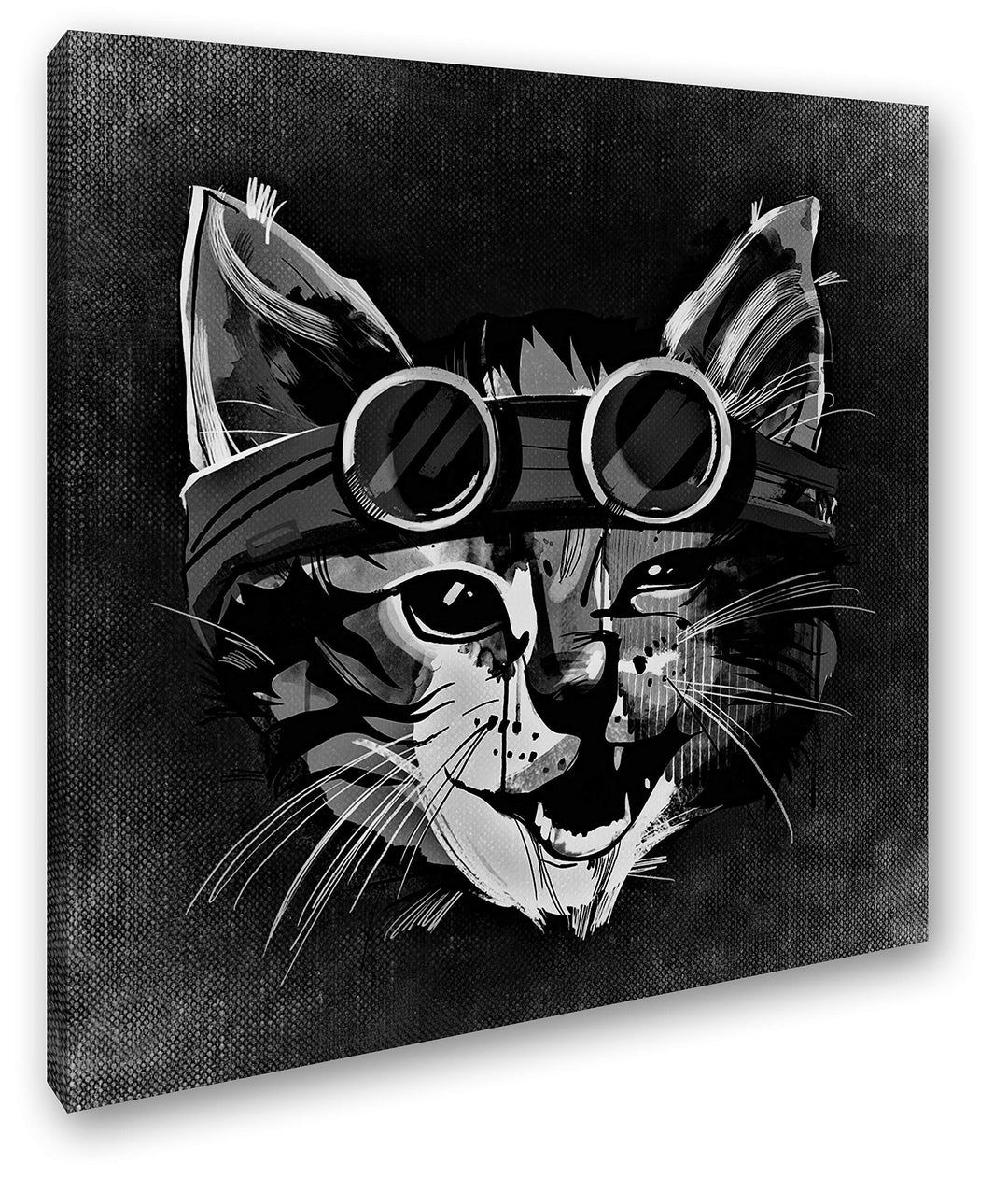 deyoli süsse Katze mit Einer Brille Format: 70x70 Effekt: Schwarz&Weiss als Leinwandbild, Motiv auf
