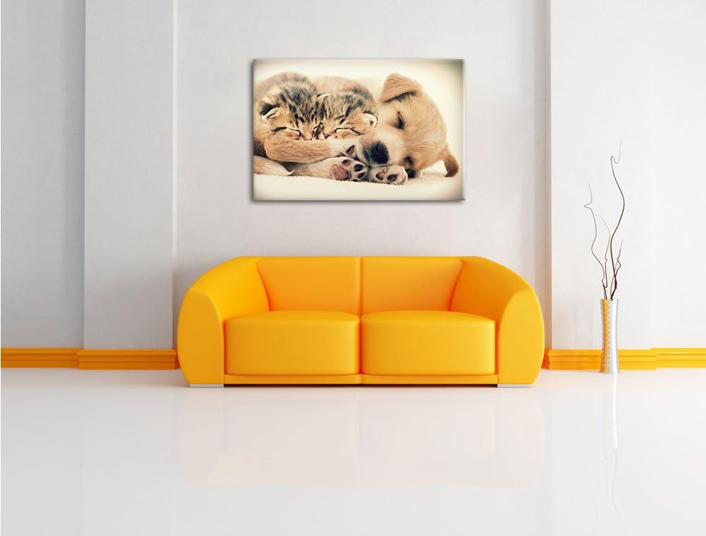 Pixxprint Hundewelpe mit kleinen Kätzchen / 100x70cm Leinwandbild bespannt auf Holzrahmen/Wandbild K