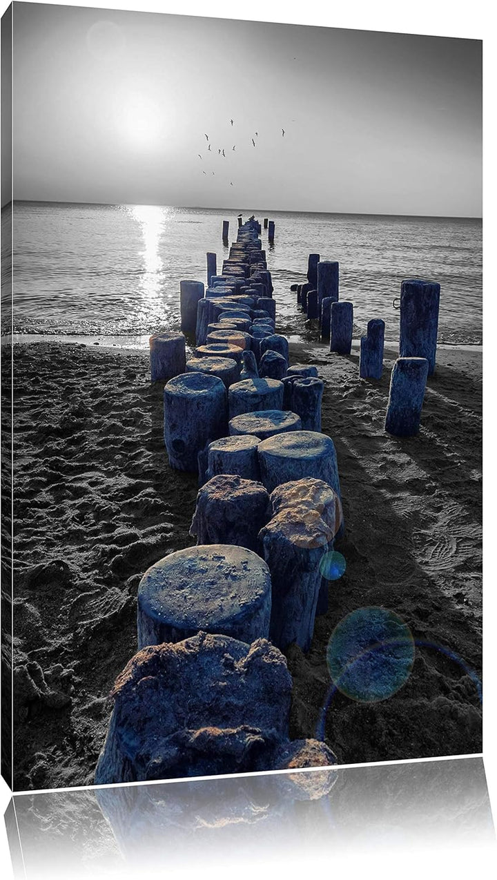 einzigartige Baumstümpfe am Meer schwarz/weiss Format: 100x70 auf Leinwand, XXL riesige Bilder ferti