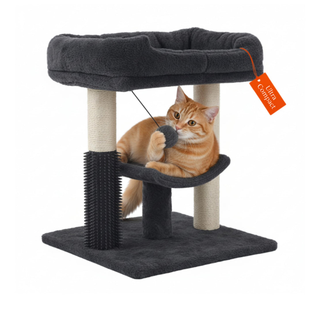 Kleiner Kratzbaum kompakt 49 cm – Katzenkratzbaum klein für Jede Wohnung | Katzenkratzbaum mit Sisal