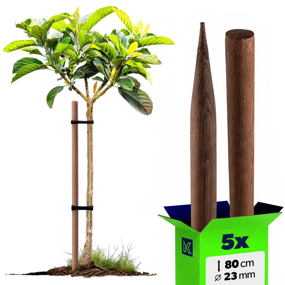 KADAX Holzstäbe 80 cm x 23 mm, 5er Set, Pflanzstäbe aus imprägniertem Holz, Holzpfähle als Rankhilfe