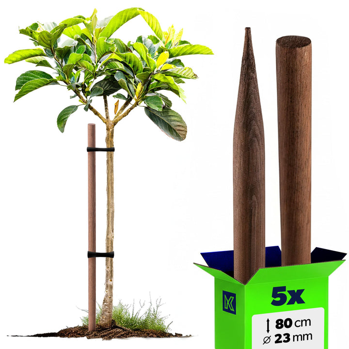 KADAX Holzstäbe 80 cm x 23 mm, 5er Set, Pflanzstäbe aus imprägniertem Holz, Holzpfähle als Rankhilfe