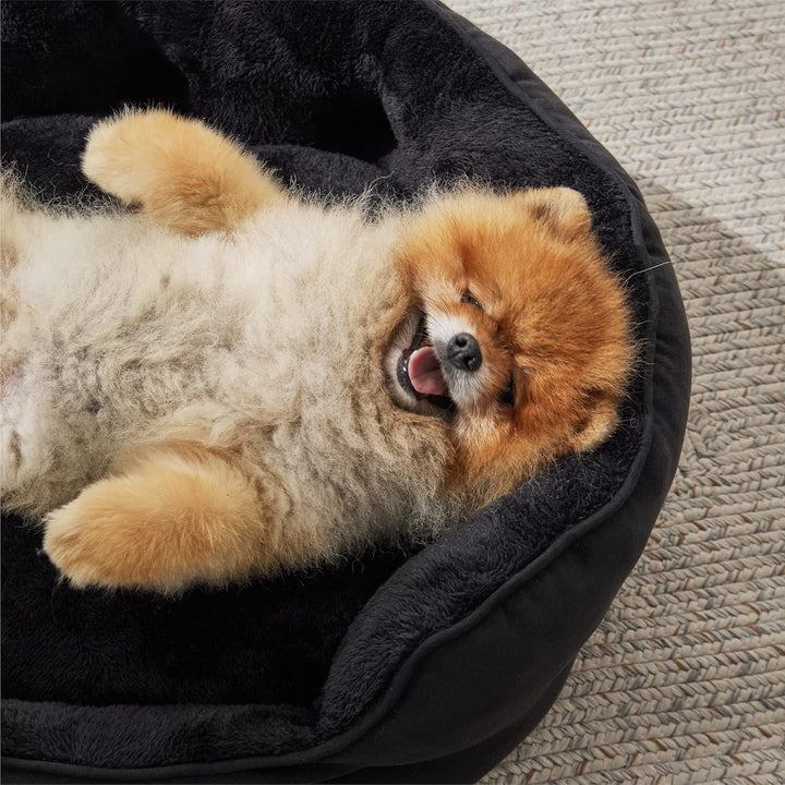 BEDSURE Katzenbett waschbar Katzen Bettchen - 51x48x15cm Katzenbett mit zweiseitig Innenkissen Katze