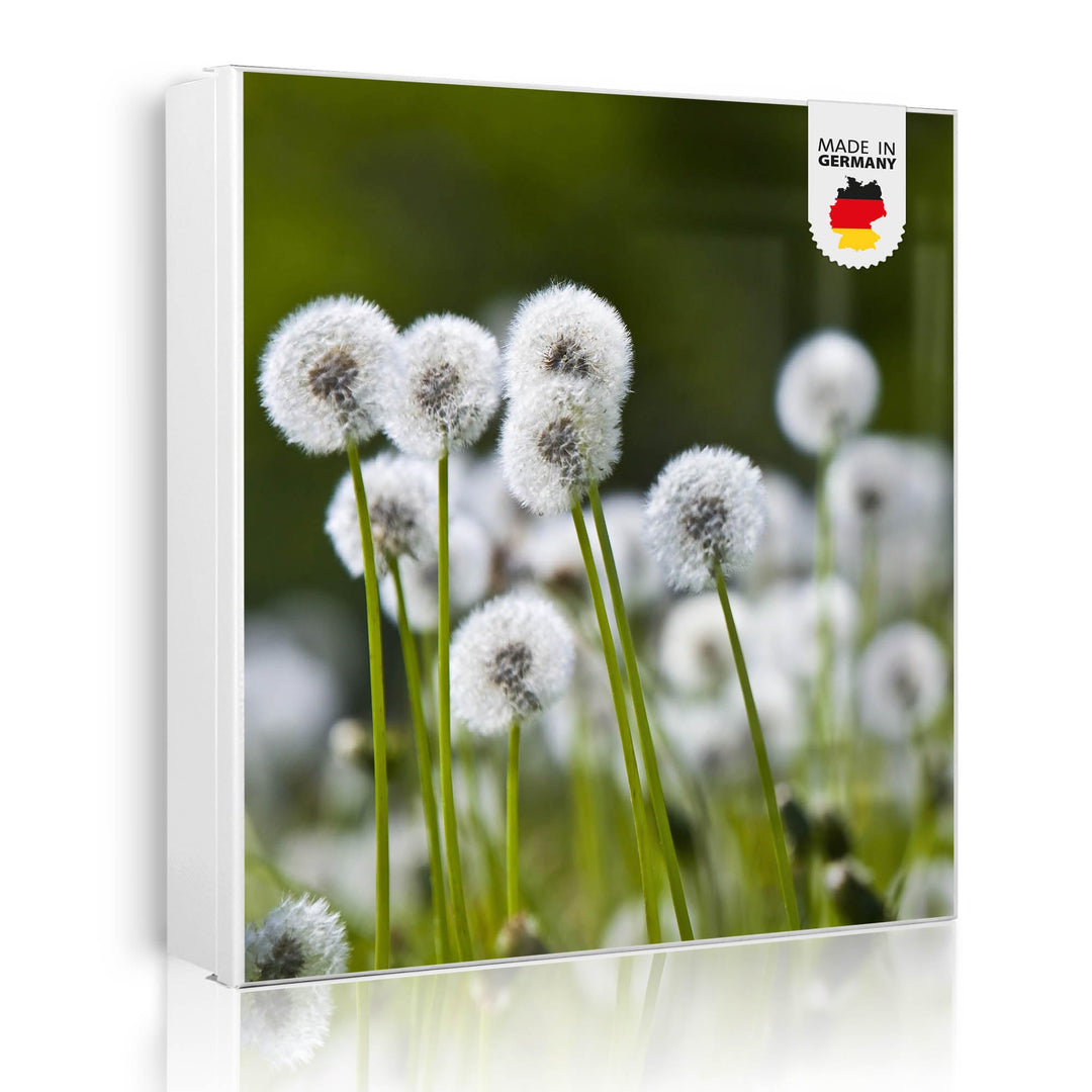 banjado Grosser Schlüsselkasten Metall - Schlüsselbox 30x30cm mit 32 Haken - Schlüsselkasten modern