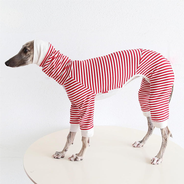 Leichter Baumwoll-Windhund-Pullover, Whippet-Kleidung mit Beinen, Rollkragen-Hunde-Jumpsuit, Hunde-P