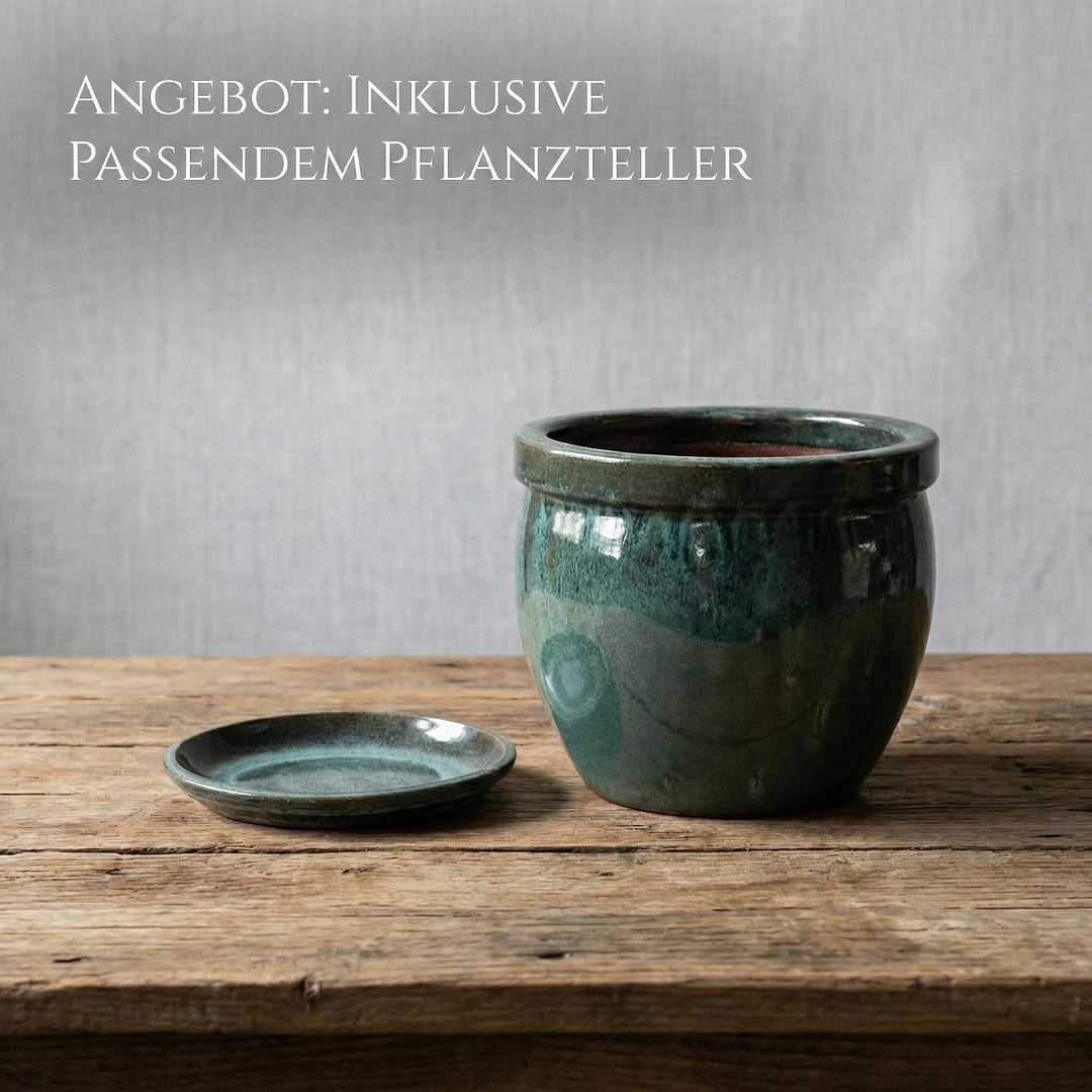 Teramico Blumenkübel Keramik mit Teller Ø 21cm – Handarbeit aus Steinzeug – Frostfester Pflanztopf g