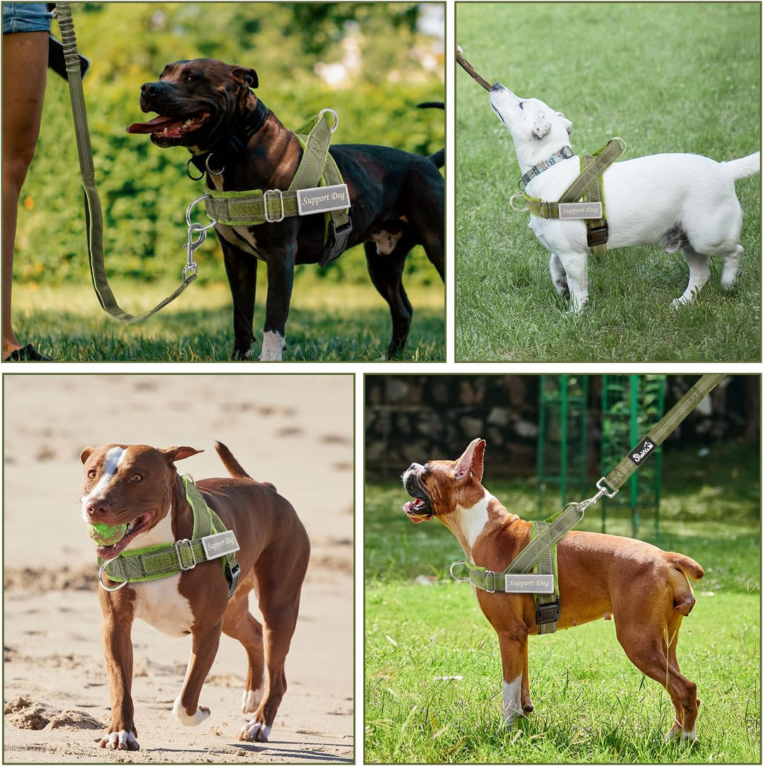 Hundegeschirr mit Leine für grosse mittelgrosse Hunde, Weich gepolsterter Brustgeschirr mit 2 Leinen