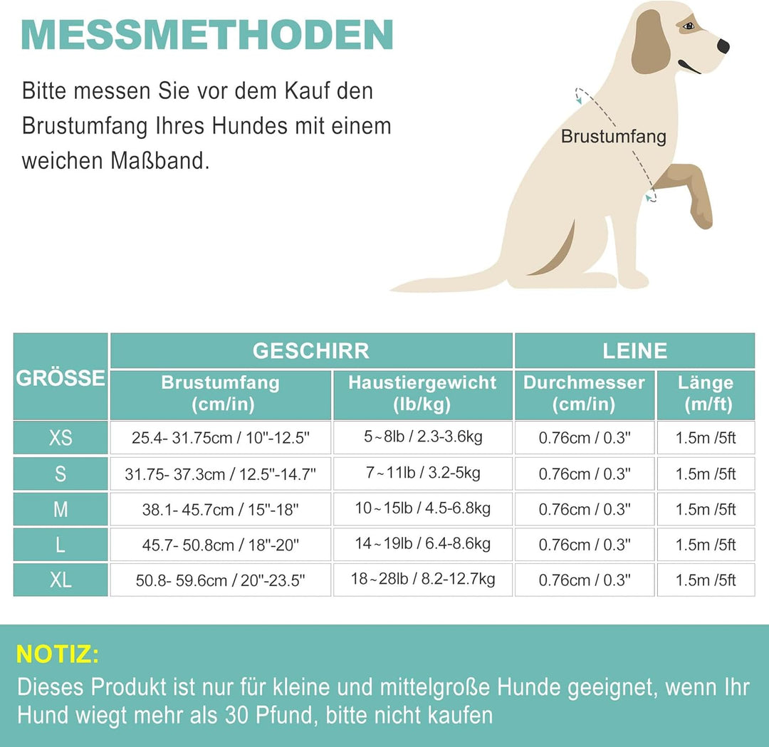 haapaw Hundegeschirr und Leine Set, kein Ziehen, verstellbares, reflektierendes Step-in-Welpengeschi
