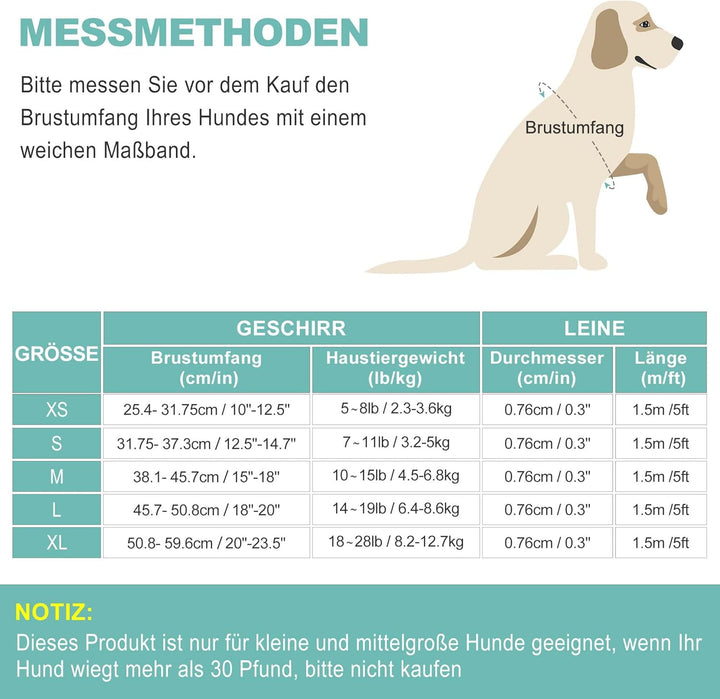 haapaw Hundegeschirr und Leine Set, kein Ziehen, verstellbares, reflektierendes Step-in-Welpengeschi