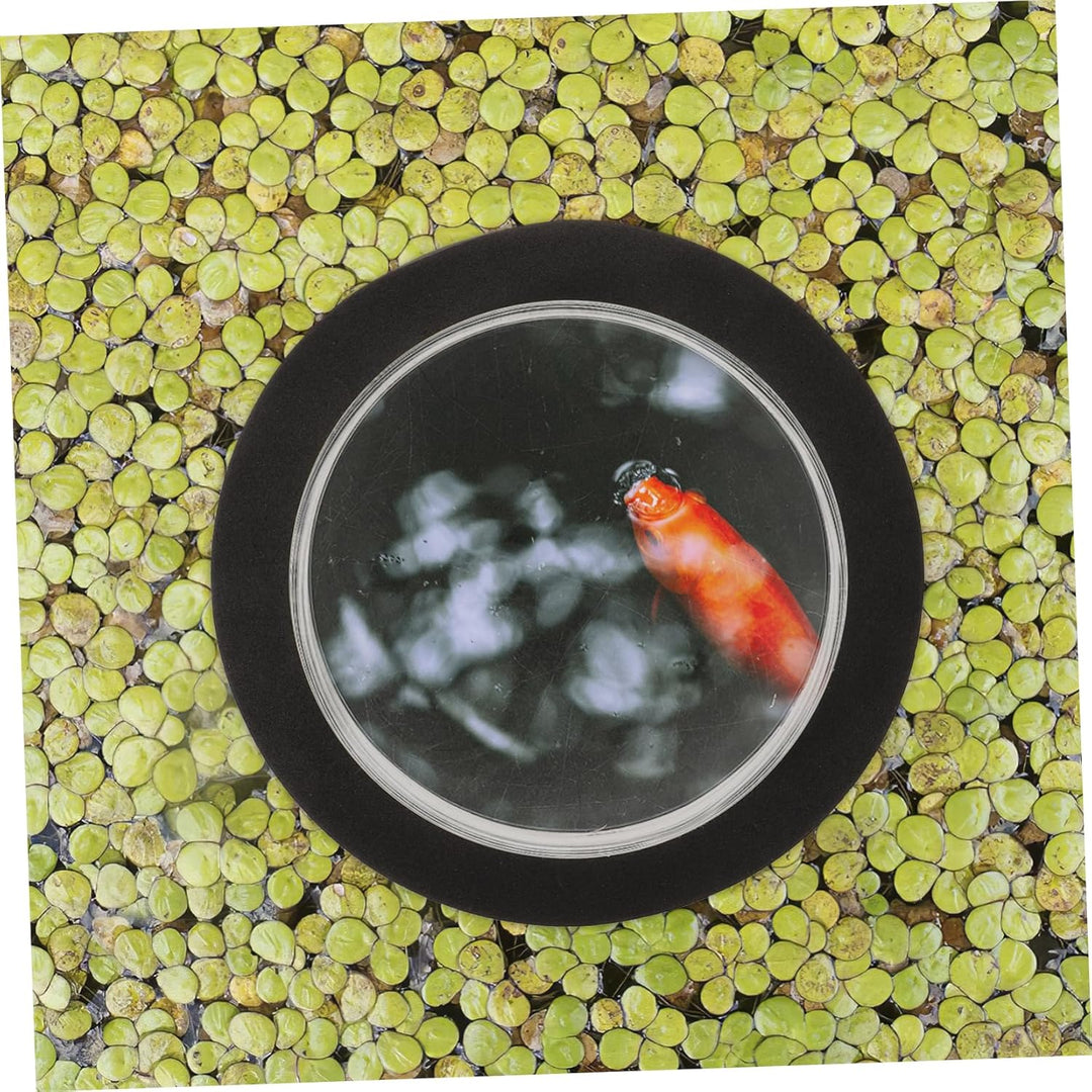 Toddmomy Schwimmende Fischkuppel Für Teich Dekorative Abdeckung Aus Acryl Für Die Fischbeobachtung I