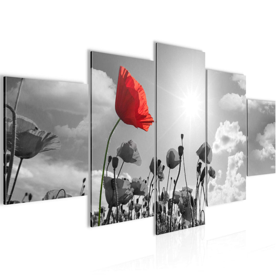 Runa Art Wandbilder Blumen Mohnblume 5 Teilig Bild auf Vlies Leinwand Deko Wohnzimmer Natur Grau Rot