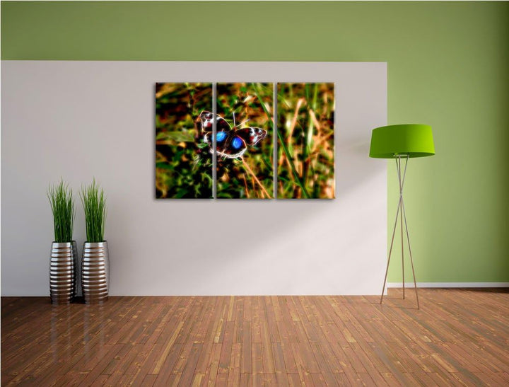 aussergewöhnlicher Schmetterling auf Grashalm NewArt 3-Teiler Leinwandbild 120x80 Bild auf Leinwand,