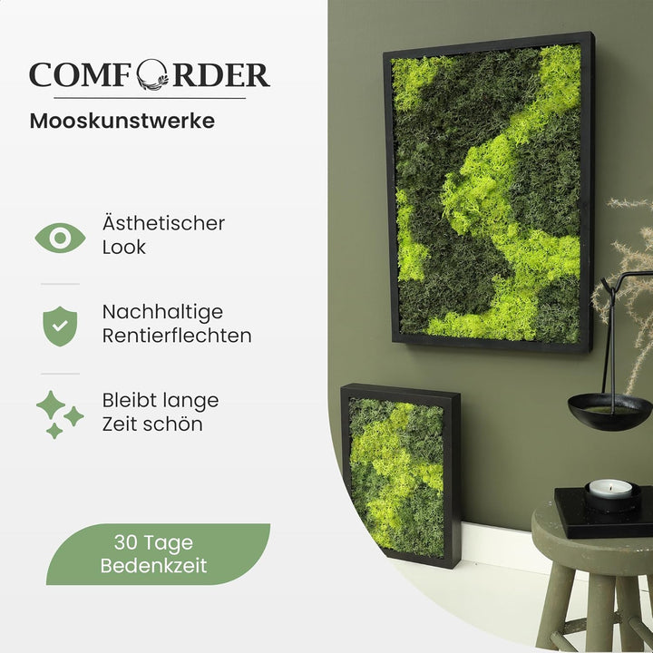 comforder Rechteckiges Wandbild mit echtem Moos (27x38 cm), Konserviertes Moosbild mit Holzrahmen, N