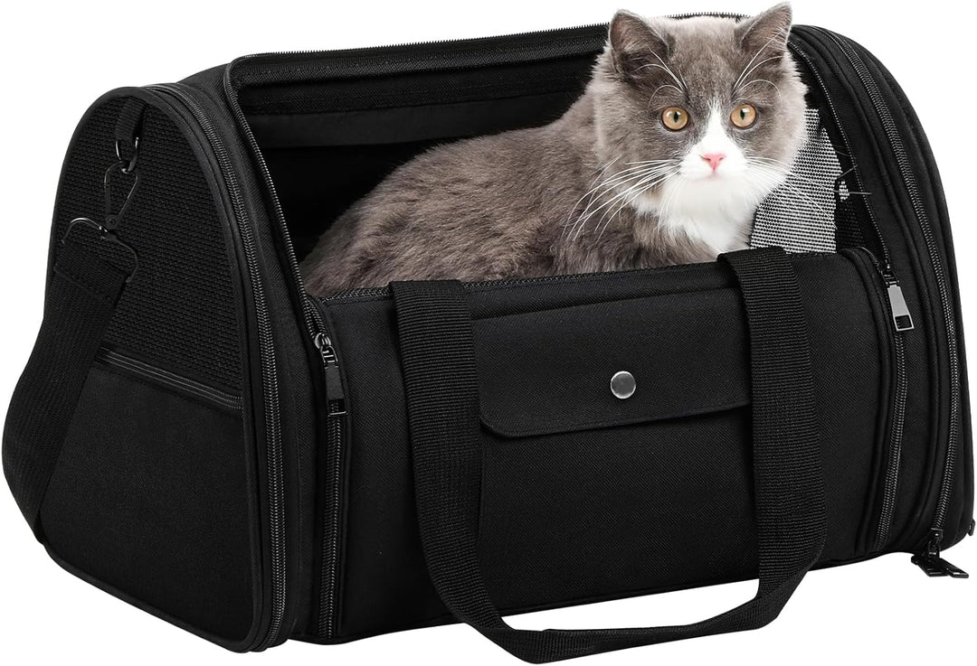 Pecute Faltbare Transporttasche Katze Hunde transportboxen, Atmungsaktive Haustiertragetasche für Kl