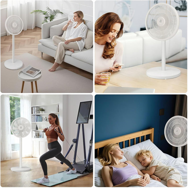 EXTRASTAR Standventilator mit abnehmbarer Stange (91cm/63.5cm), 3 Geschwindigkeitsstufen, 90° Oszill