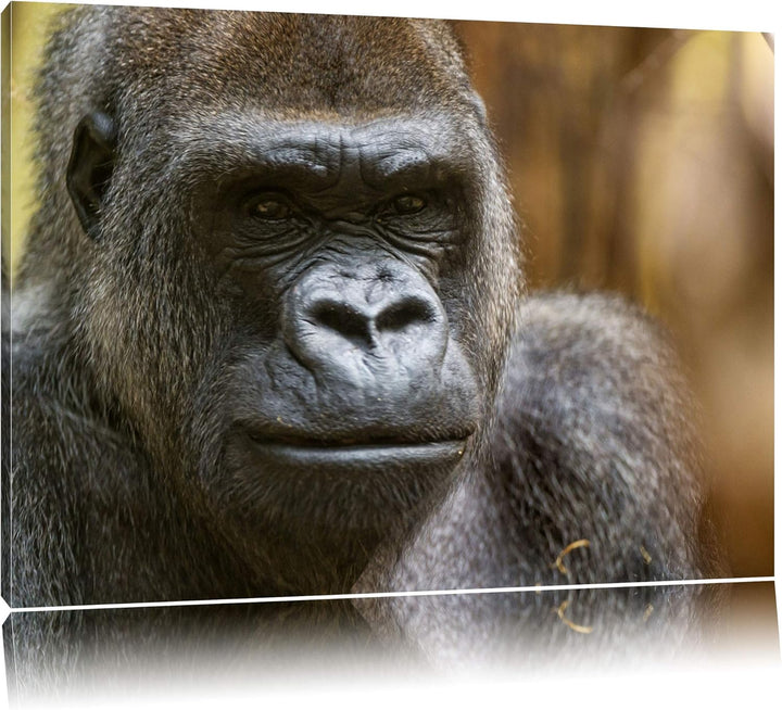 Pixxprint stolzer Gorilla auf Leinwand, XXL riesige Bilder fertig gerahmt mit Keilrahmen, Kunstdruck