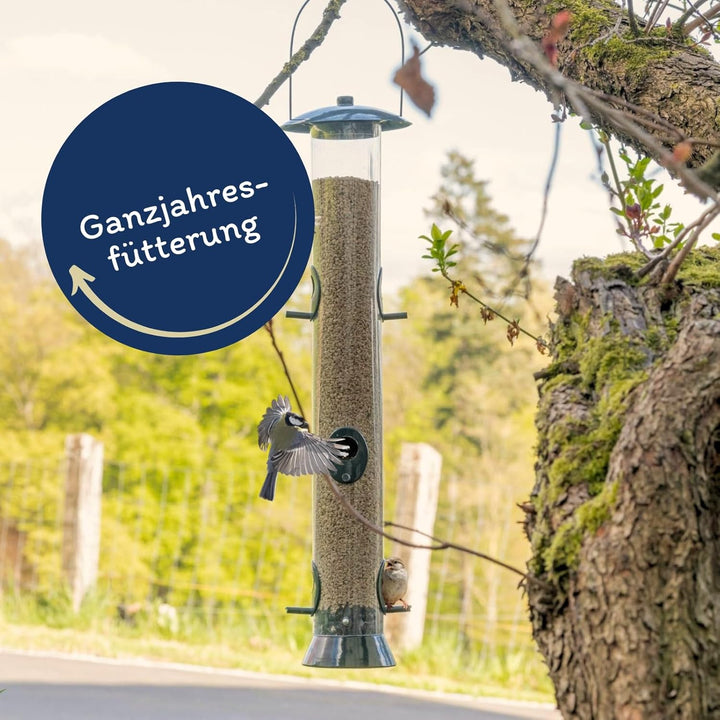 Lyra Pet®25 kg Sonnenblumenkerne geschält Bruch HK Österreich Wildvögel Fettfutter