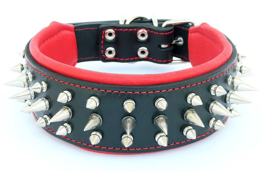 Bestia "Danger Echtleder Hundehalsband mit Schraubspitzen und Leder Innenpolsterung. 6,5 cm breit L-