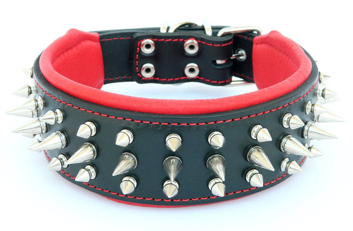 Bestia "Danger Echtleder Hundehalsband mit Schraubspitzen und Leder Innenpolsterung. 6,5 cm breit L-