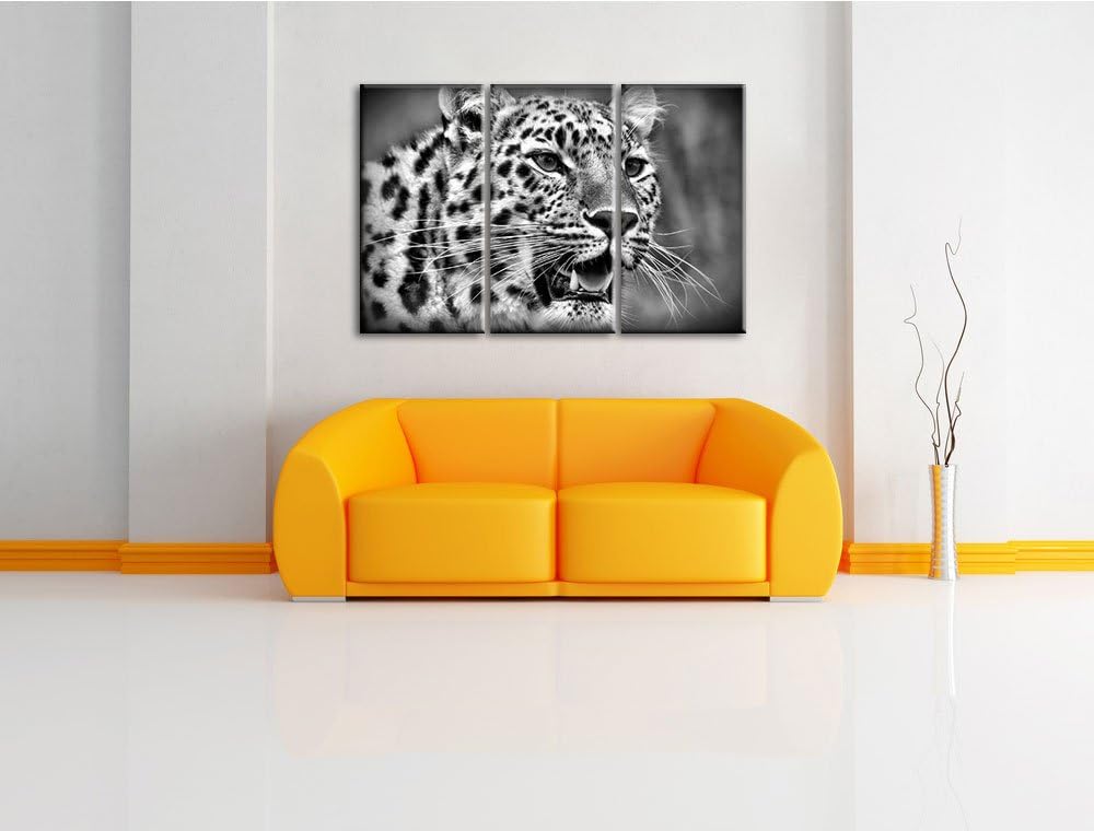 Pixxprint ausgewachsener Leopard als Leinwandbild/Grösse: 3 Teilig (120x80) cm/Wandbild/Kunstdruck/f