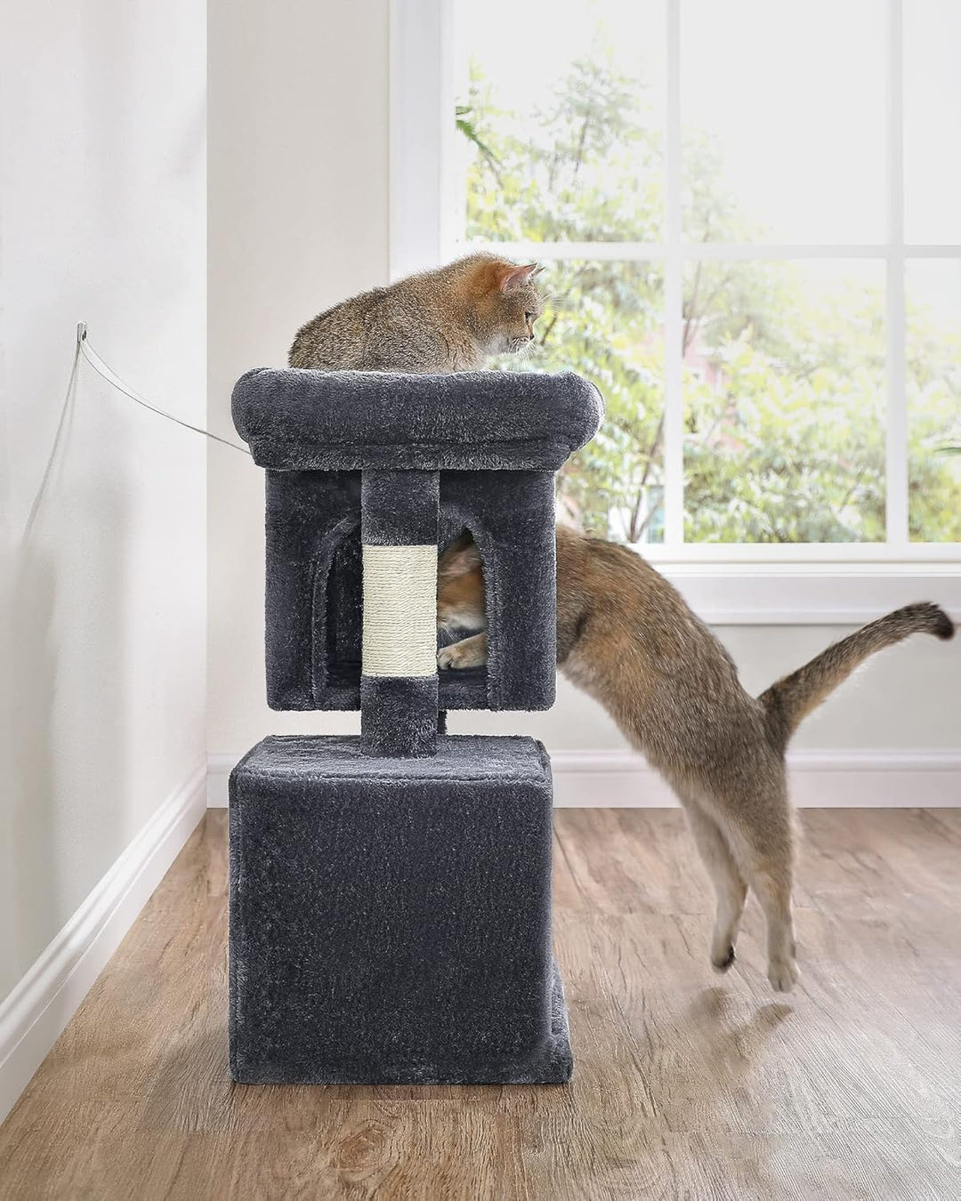 Feandrea Kratzbaum klein, 67 cm Katzenbaum, Katzenhaus für Kätzchen bis zu 3 kg, grosse Plattform, S