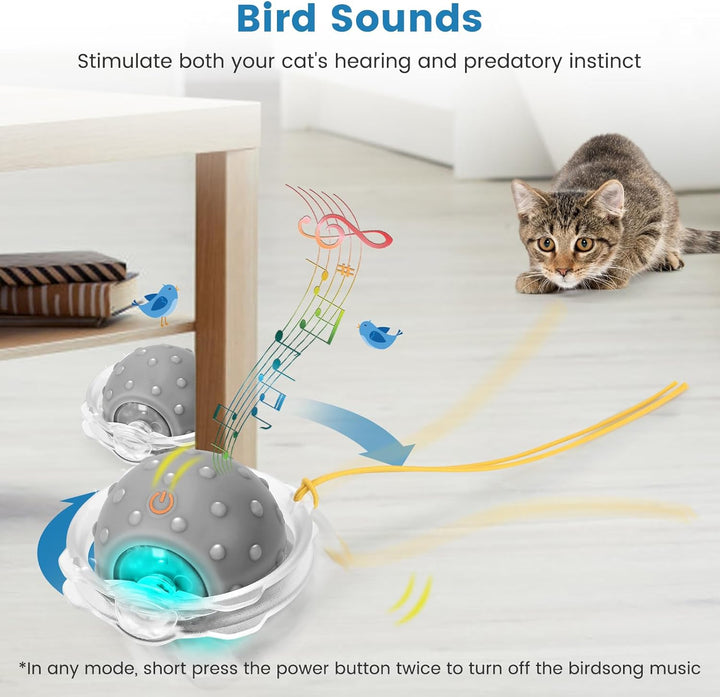 PETTOM Interaktives Katzenspielzeug Selbstbeschäftigung, Katzen Spielzeug Ball mit LED-Licht & 3 Mod