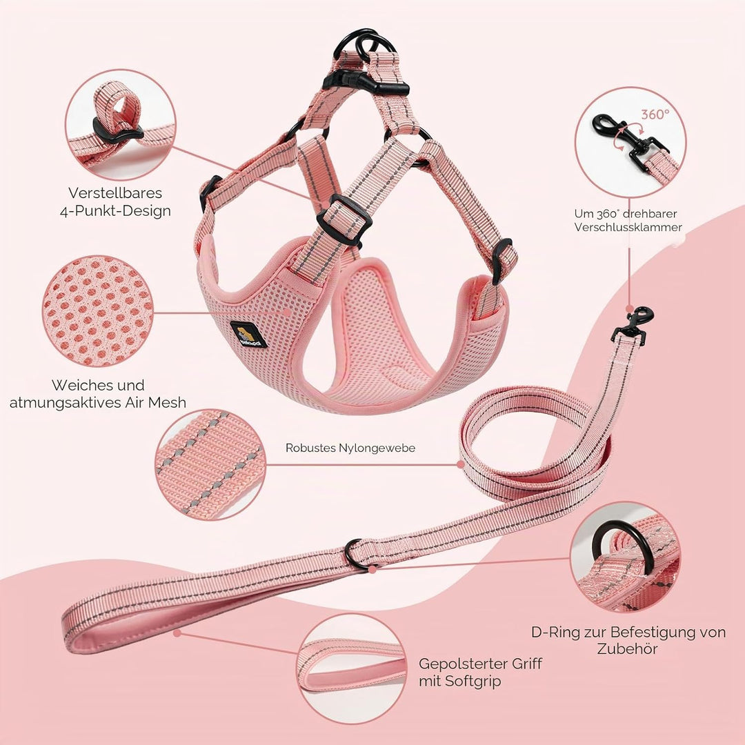 BELLA &amp; PAL Hundegeschirr und Leine Set, Step-in Design mit atmungsaktivem Air-Mesh, reflektierenden