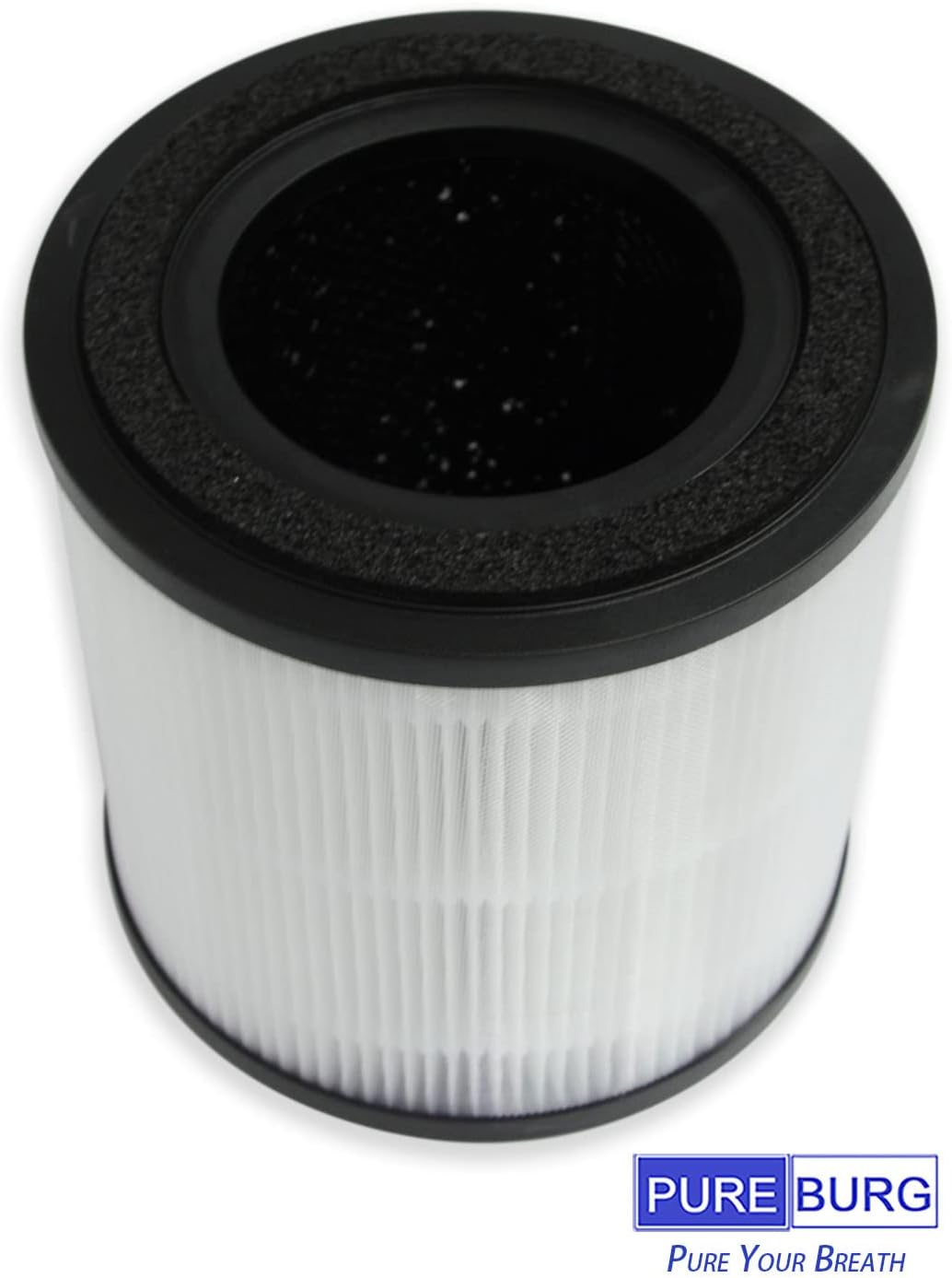 PUREBURG ErsatzFilter kompatibel mit Bissell MYair+ und MYair HUB Luftreinigern 2905A 3179A, Teilenu