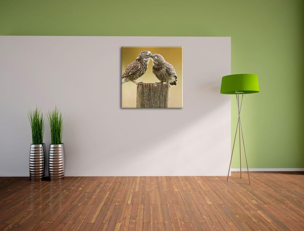 Pixxprint Küssende Eulen, Format: 70x70 auf Leinwand, XXL riesige Bilder fertig gerahmt mit Keilrahm