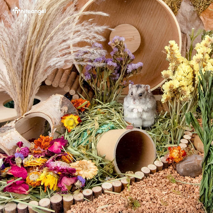 Niteangel Natürliches und weiches Hamster-Einstreu - Dekoration für das Lebensumfeld von syrischen Z