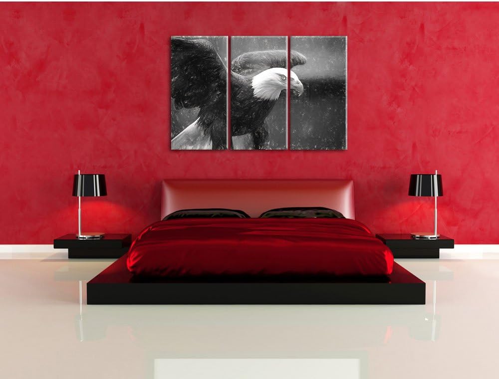 Pixxprint Adler als Leinwandbild/Grösse: 3 Teilig (120x80) cm/Wandbild/Kunstdruck/fertig bespannt